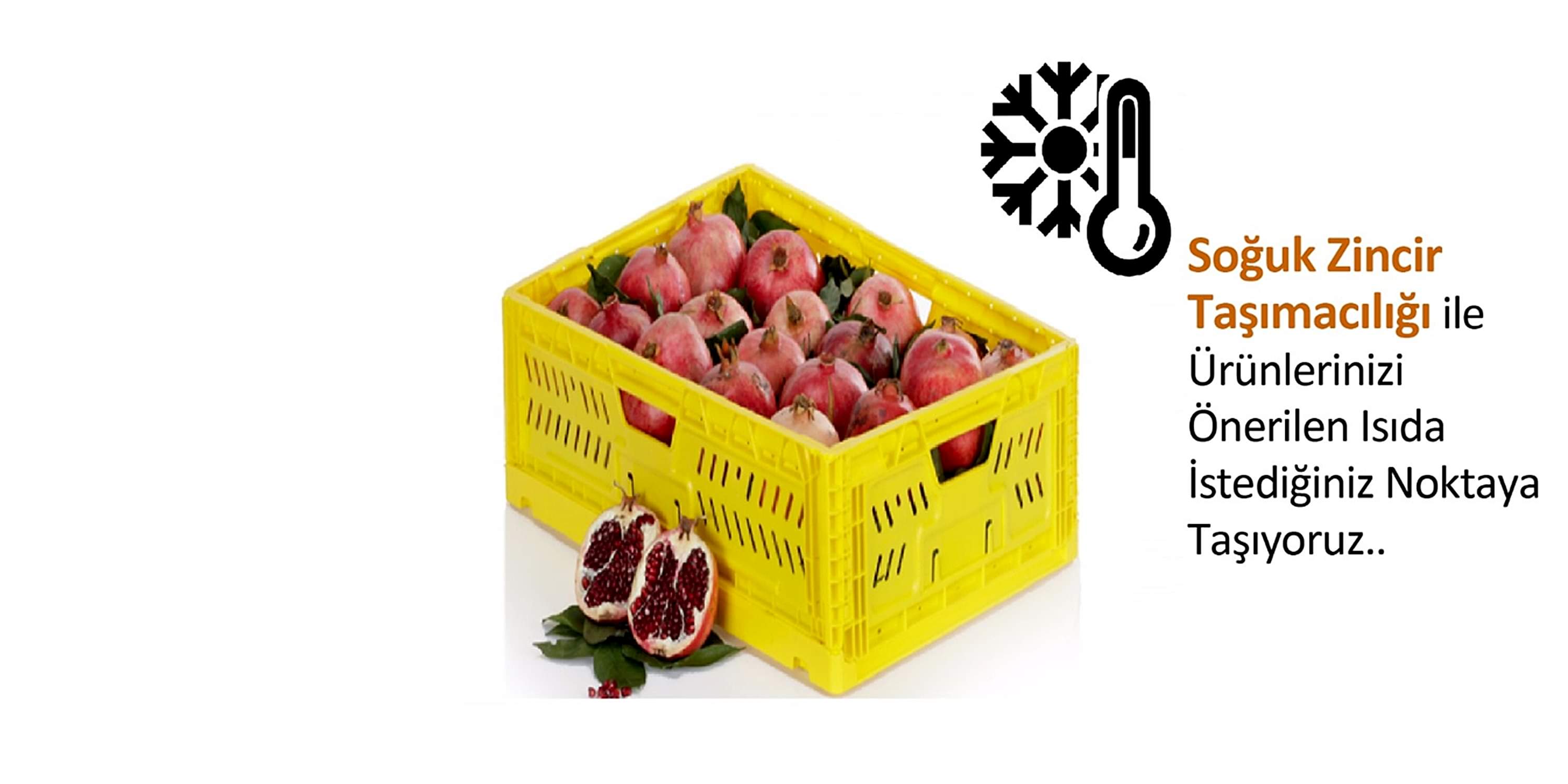 SO�UK Z�NC�R TA�IMA