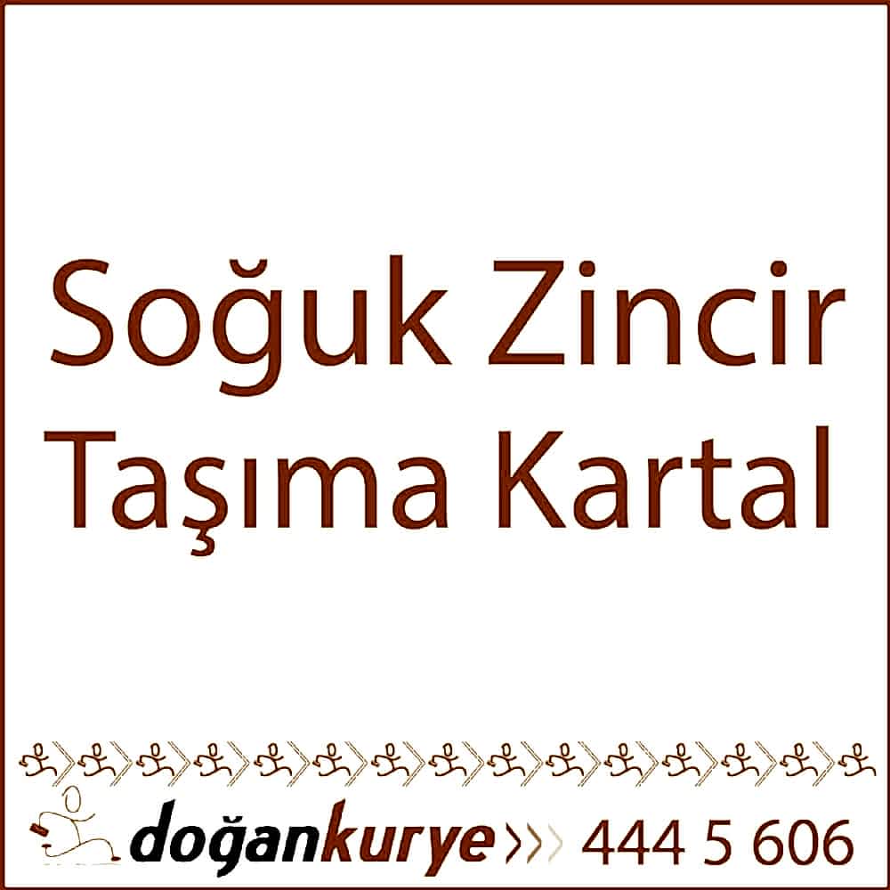 So�uk Zincir Ta��ma Kartal