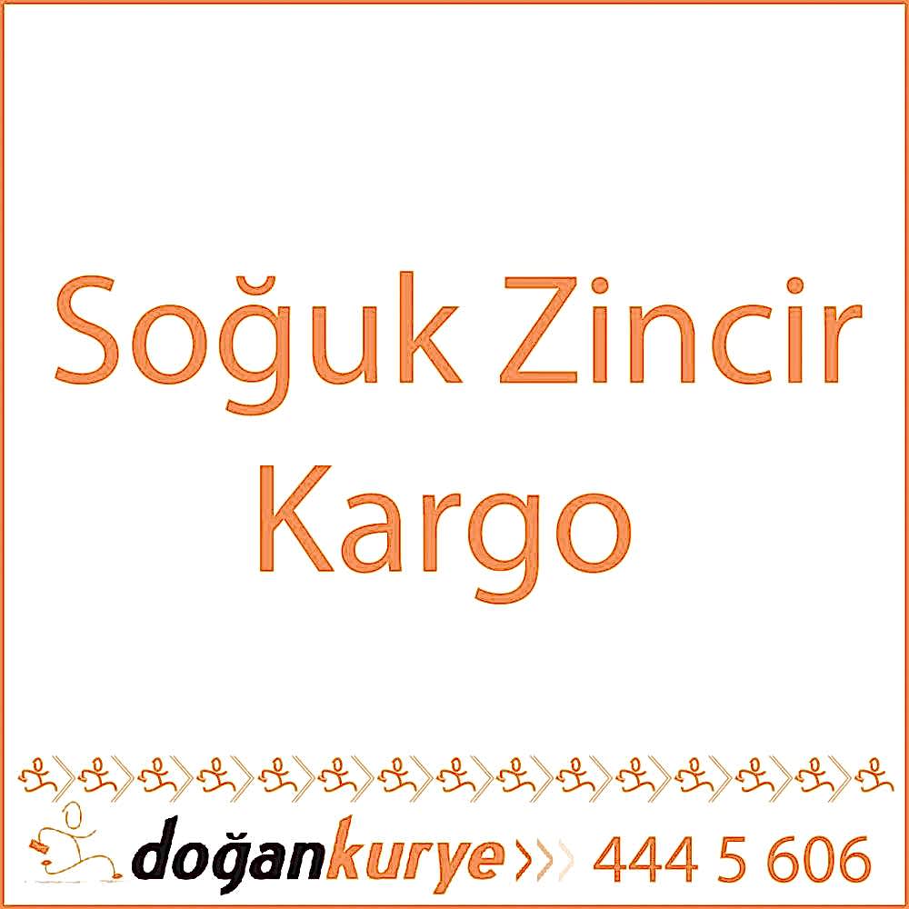 So�uk zincir kargo