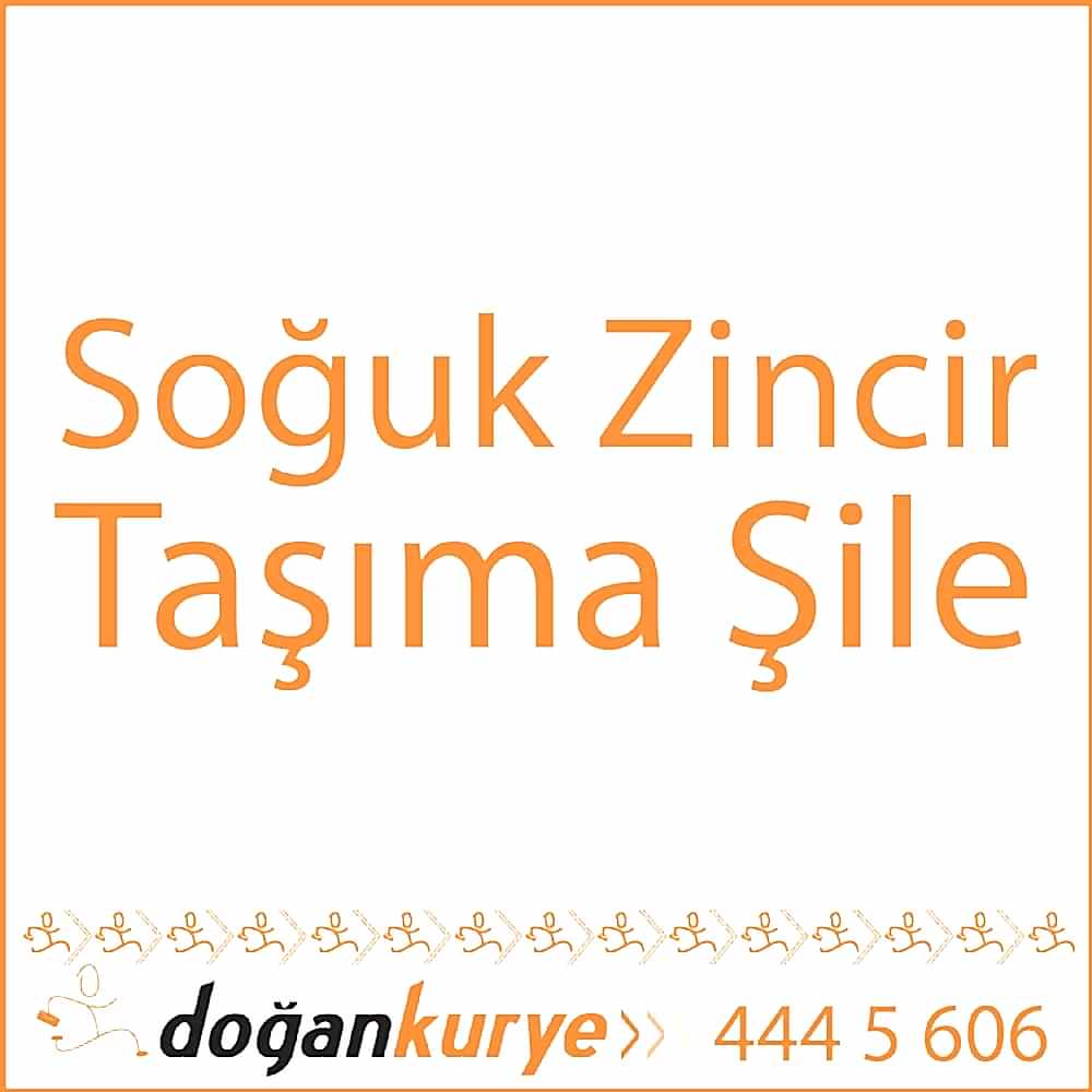 So�uk Zincir Ta��ma �ile