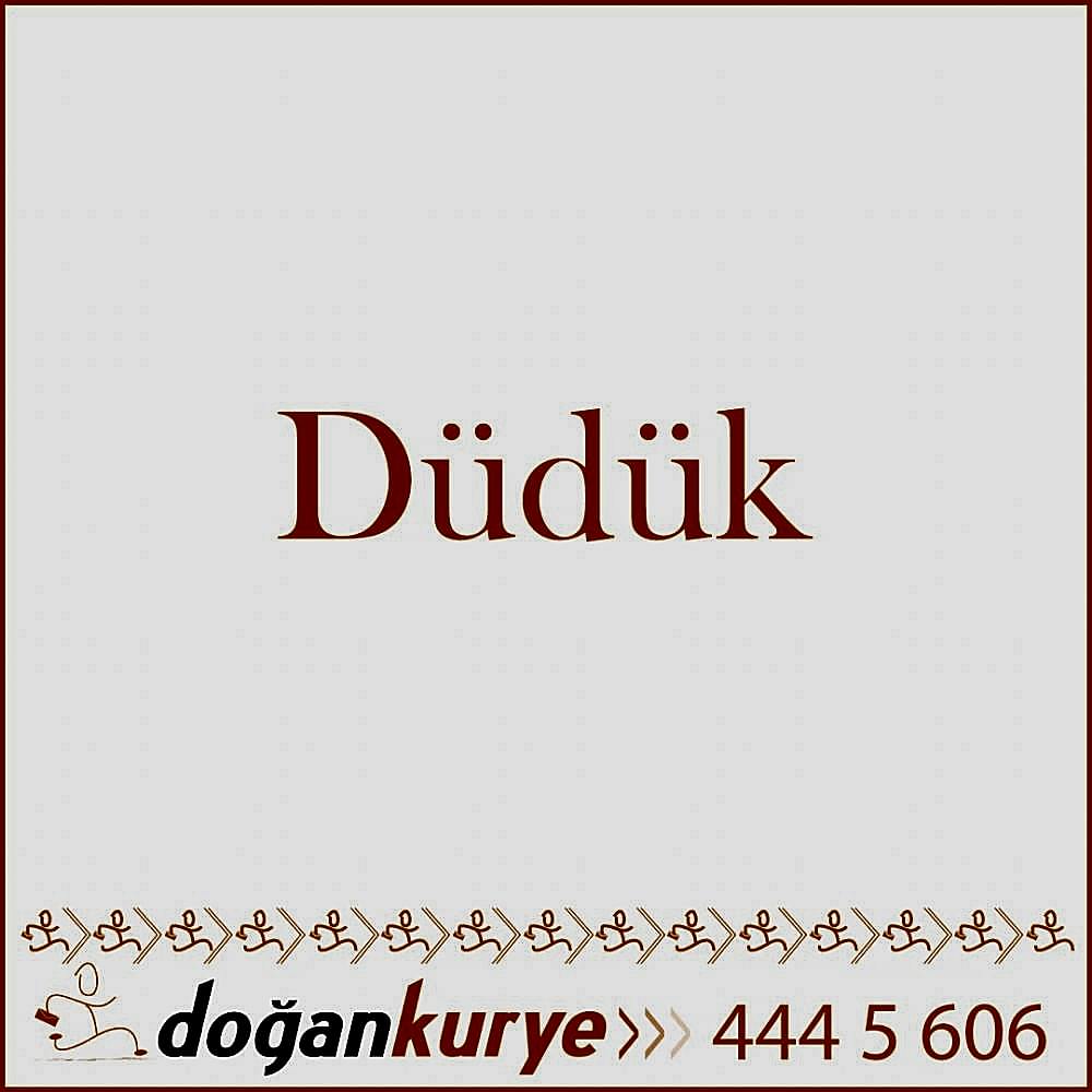 D�d�k Kurye Hizmeti