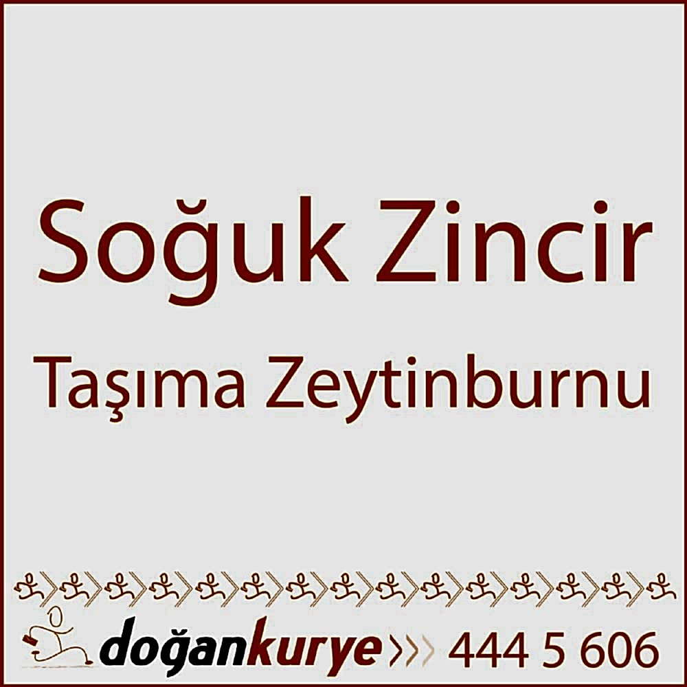 So�uk Zincir Ta��ma Zeytinburnu