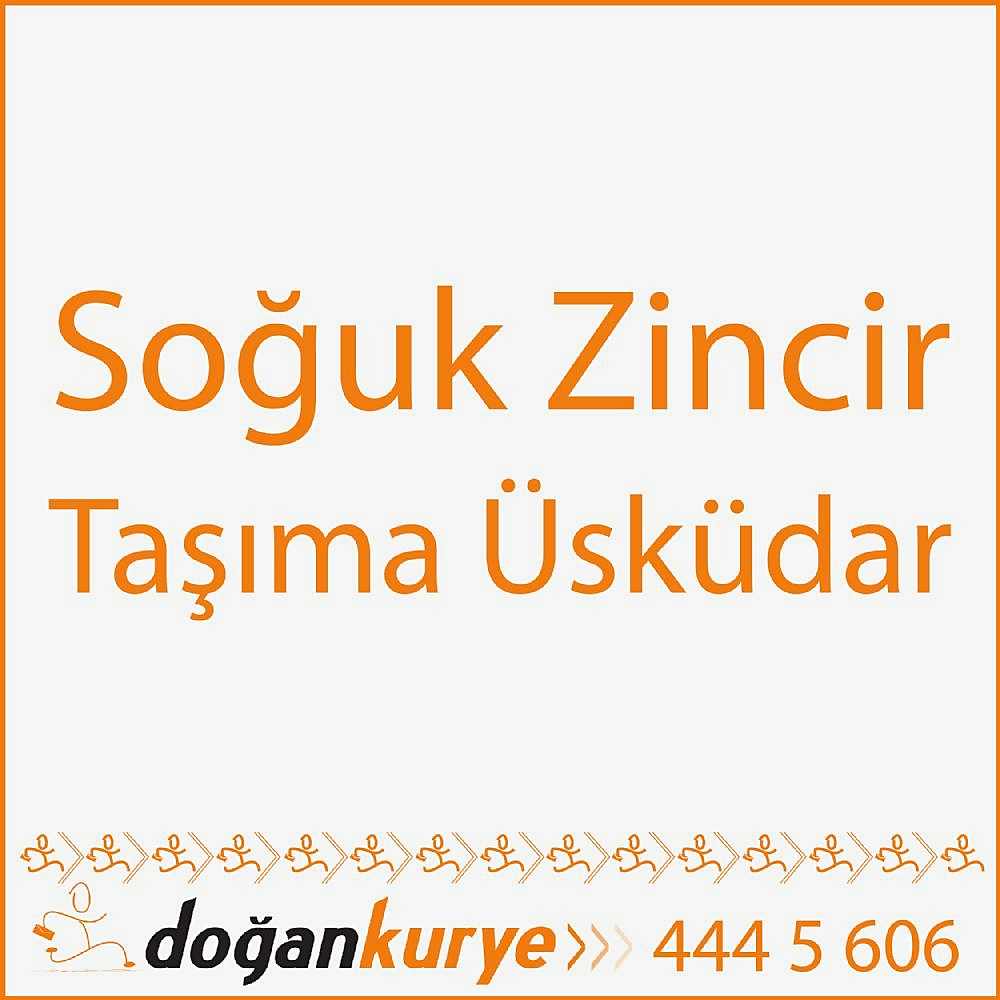 So�uk Zincir Ta��ma �sk�dar