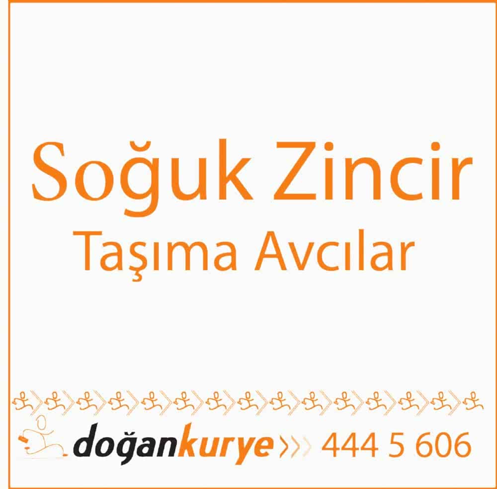 So�uk Zincir Ta��ma Avc�lar