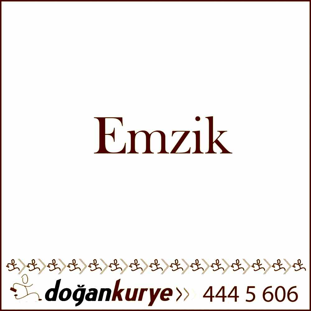 Emzik Kurye Hizmeti