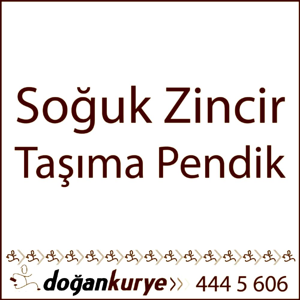 So�uk Zincir Ta��ma Pendik
