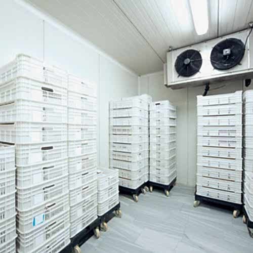 So�uk Hava Depolama