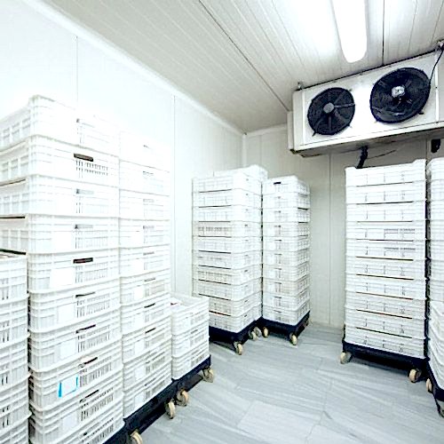 So�uk Hava Deposu Kiralama