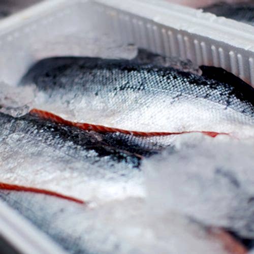 So�uk Zincir Ta��ma